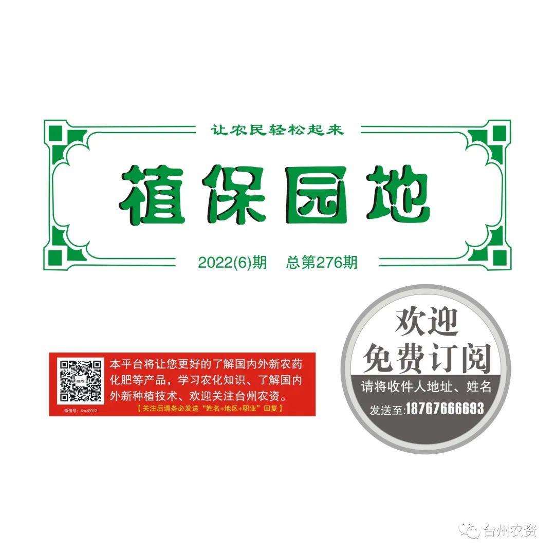梅雨季節(jié)來臨，柑橘即將穩(wěn)果，注意管理好夏梢，合理施肥打藥